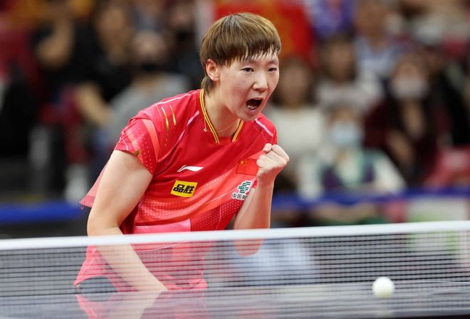 作为国内顶 作为国内顶