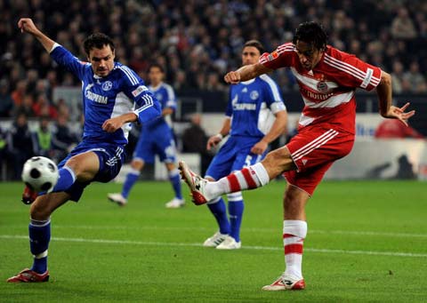 此时再强调 此时再强调